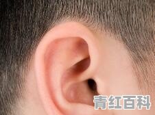 一只耳朵一直嗡嗡响怎么办