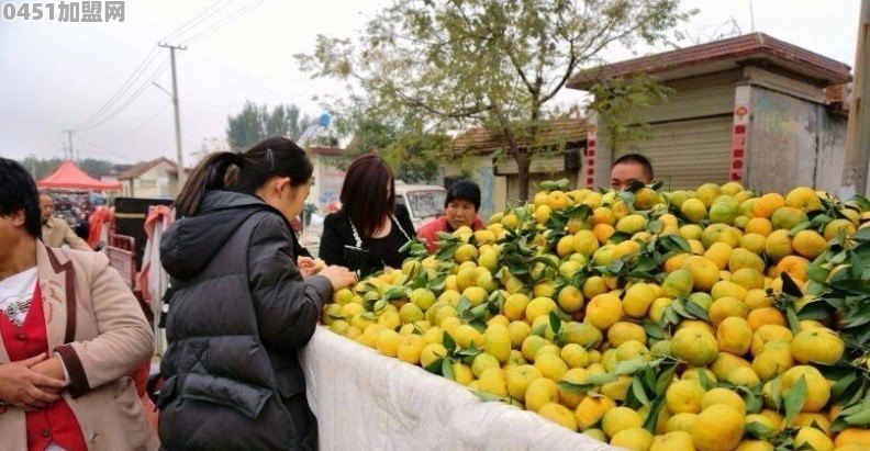 阜阳加盟奶茶小吃