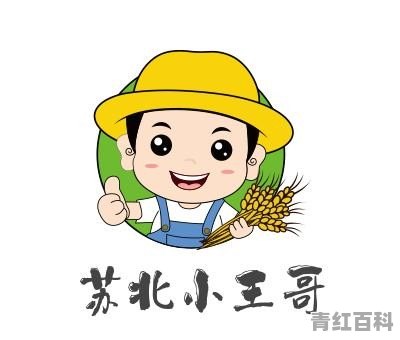 国产汽车在国外受欢迎吗