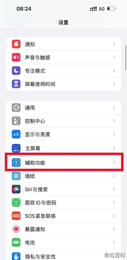苹果hz是什么意思