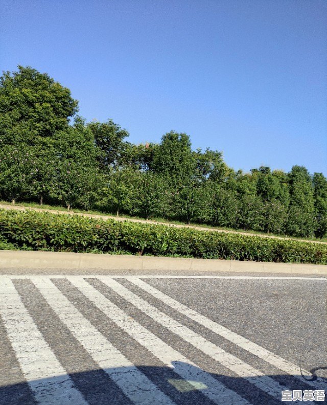 来一个英语听力几首 - 宝贝英语
