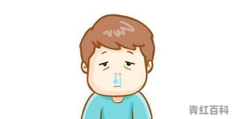 我的狗的鼻子流脓鼻涕和血，是怎么回事
