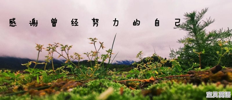 不想考四六级怎么办 - 宝贝英语