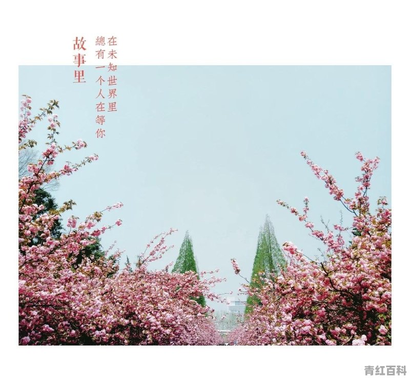 旅行是为了什么