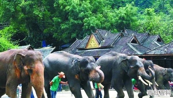 云南西双版纳旅游景点有哪些