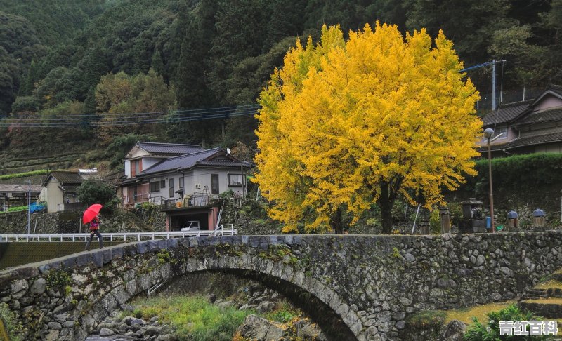 眉山美食推荐地方人气排行榜