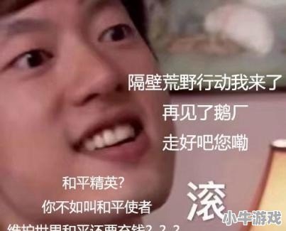 腾讯《和平精英》空降失败？玩家表示:还不如荒野行动 - 小牛游戏
