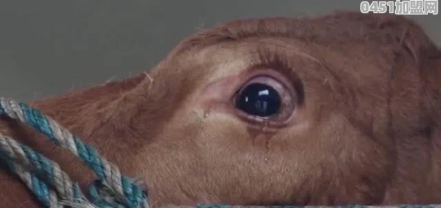 你经历的最匪夷所思的事是什么