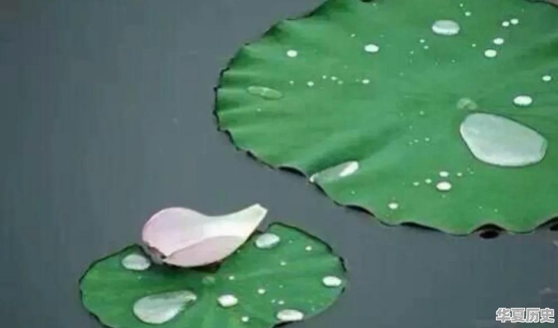 如何快速提升自己的修养 - 华夏历史
