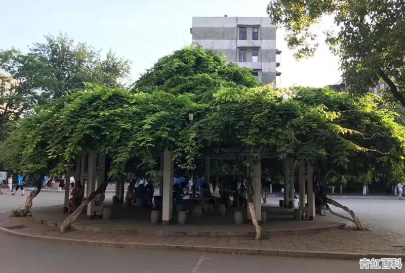 小孩发音不准怎么办六岁了