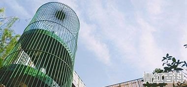 加拿大旅游签证期限有多长？加拿大旅游签证有效期是几年