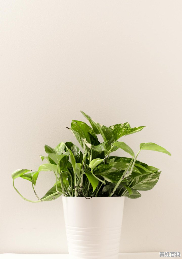 电脑进水保修期内维修花钱吗