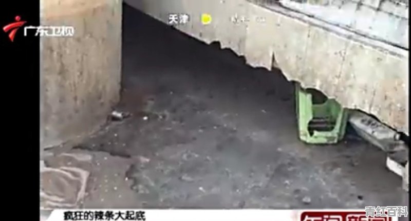 零食的种类有哪些