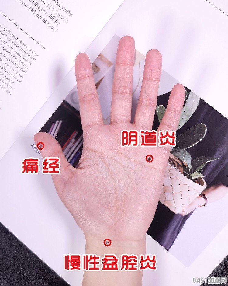 洗衣加盟洛克