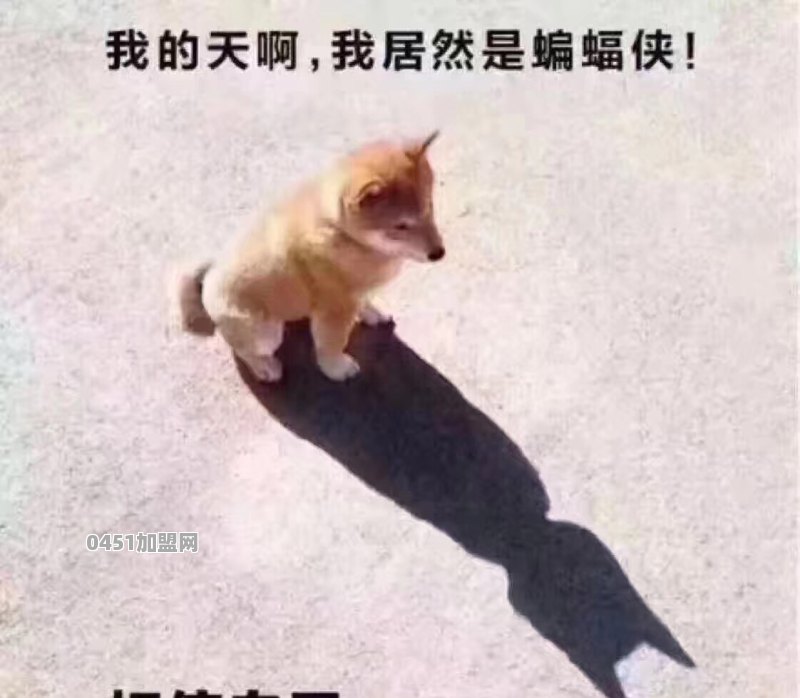 除甲醛加盟费用多少,怎么样