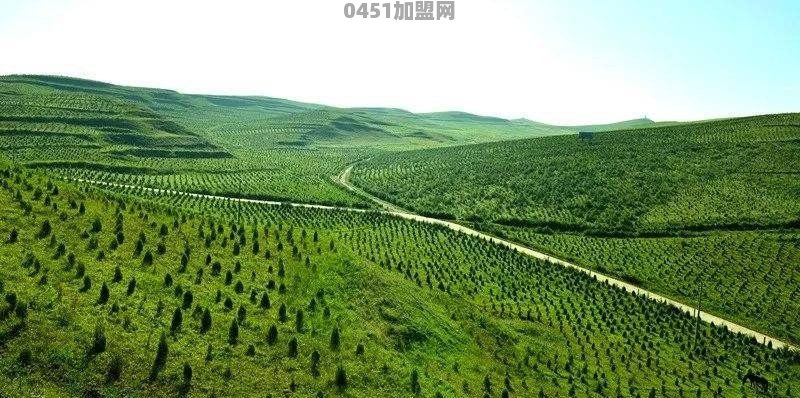 第一次看东野圭吾的书《从前我死去的家》，你们都看过哪些东野圭吾的作品