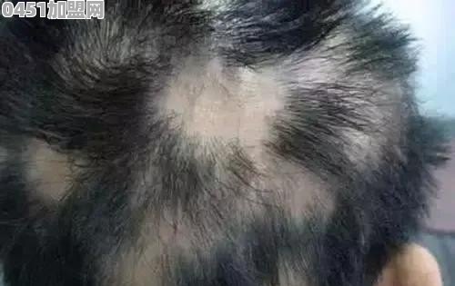 泉州烧烤车加盟品牌有哪些