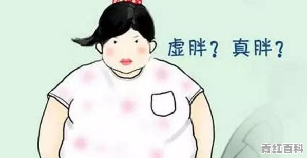 虚胖怎么调理会瘦