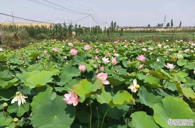 和南方人相处注意什么 - 华夏历史