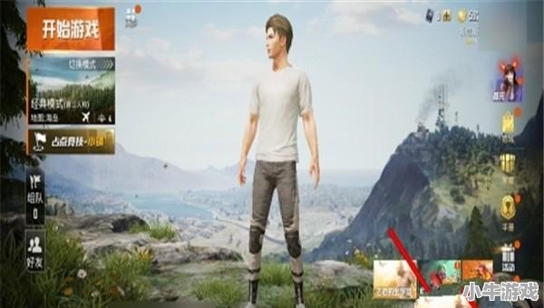 和平精英权限怎么在游戏内设置 - 小牛游戏