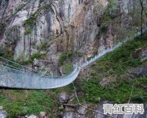 你们家一般谁提议出去旅游？地点攻略都是谁做
