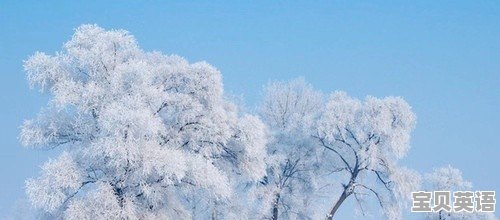 父亲节幼儿园主持稿开场白结束语 - 宝贝英语
