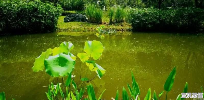 小学英语环境现状分析怎么写 - 宝贝英语