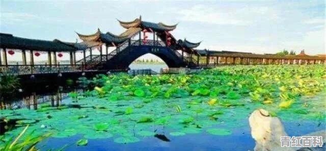 上海有什么鲜为人知但很有意思的景点
