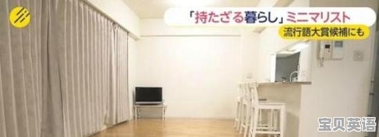 什么样的方式是极简主义生活方式 - 宝贝英语