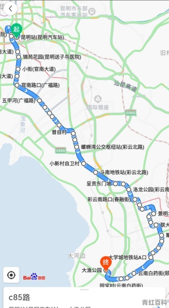 你坐过最长的公交车有多少站