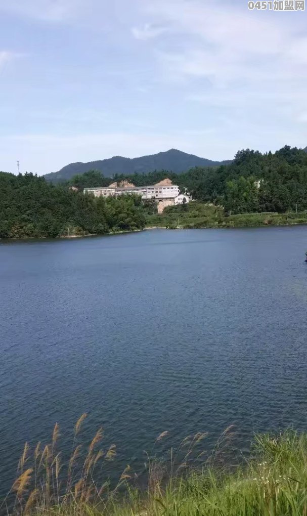 中环城美食螺蛳粉加盟店电话
