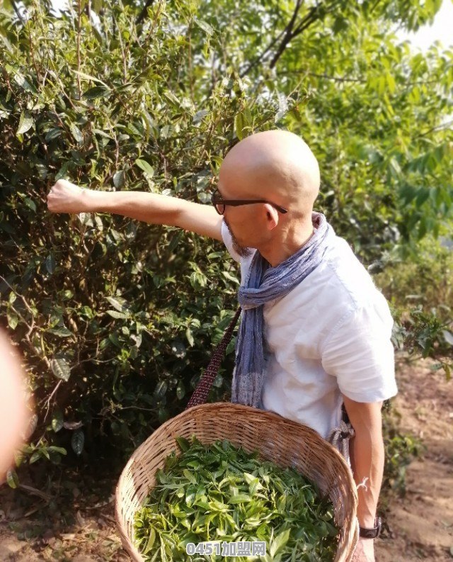 苏州茶颜悦色是真的吗