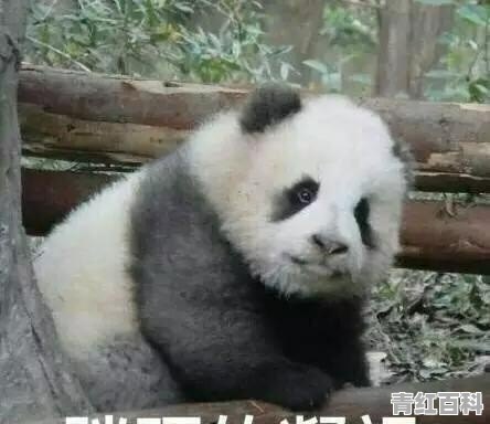 嘴唇总是干怎么办啊