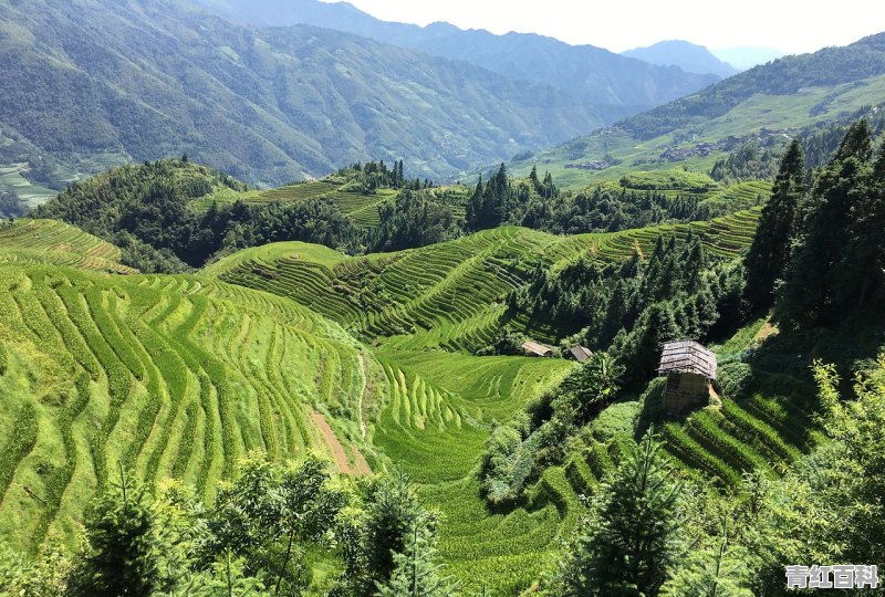 龙胜梯田旅游攻略自由行