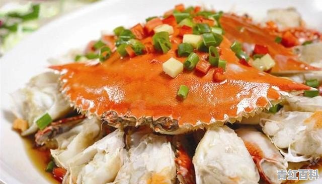 可以在海边吃海鲜的旅游城市有哪些