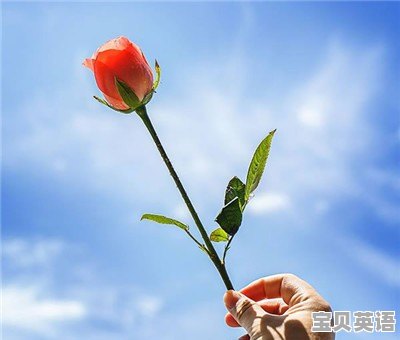 林语堂开明英语语法中文版 - 宝贝英语