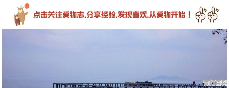 武汉周边自驾4小时以内，适合全家出游的地方有哪些？具体线路怎么规划