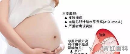 肚子过敏痒怎么回事