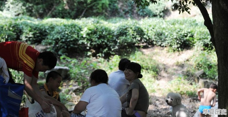 在农村 夏天的晚上 还有说评书的吗？许多历史故事 都是小时候从评书里听到的