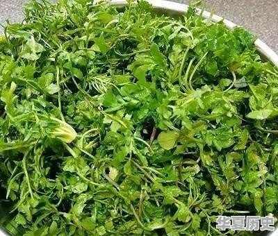 地菜煮蛋有什么寓意 - 华夏历史