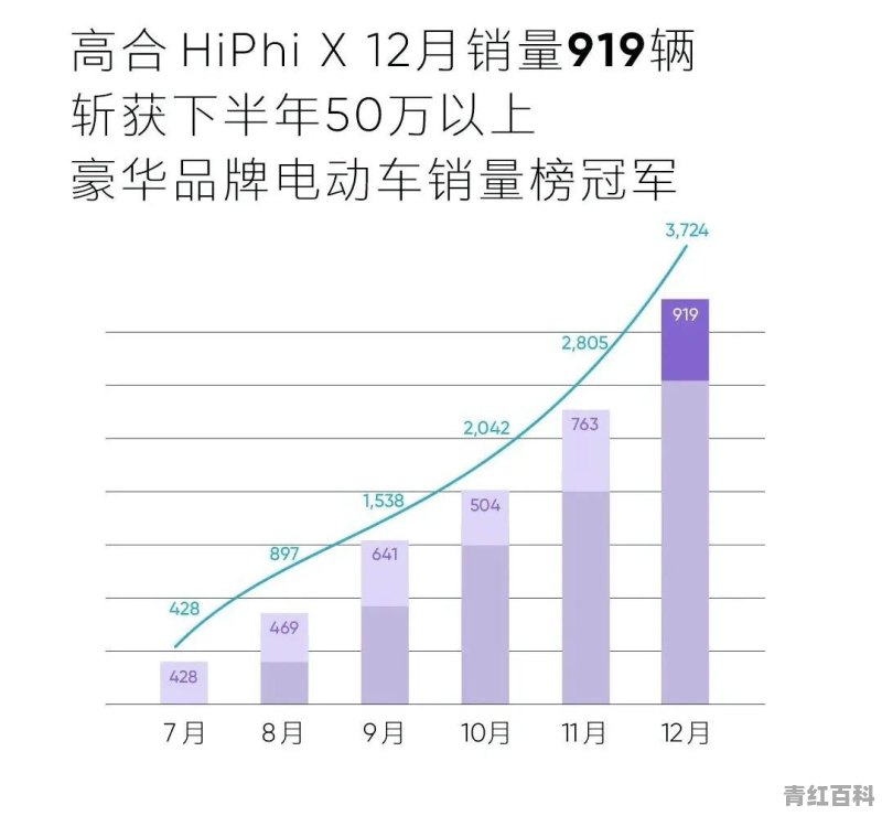 我国纯电动汽车销量排名