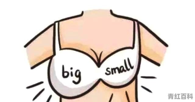 女生胸小的原因以及如何改善