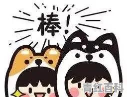 怎样学电脑打字又快又好学
