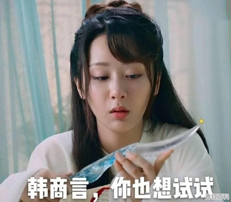 21年智博专升本什么时候报名