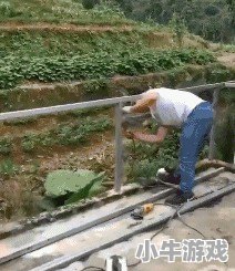 吊德斯解说英雄 - 小牛游戏