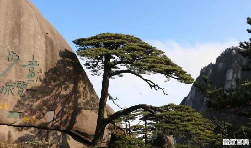 登黄山，有哪些旅游攻略推荐？订餐方面，怎样准备比较好