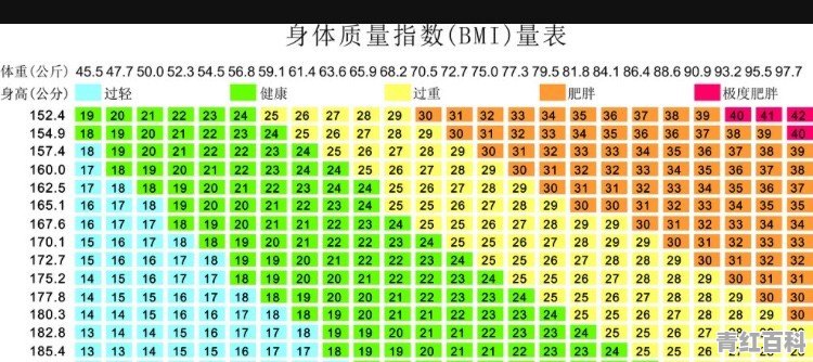 女生太胖了怎么办怎么减肥呀