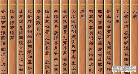大学学的专业是旅游管理，感觉开的课程什么也没学到，以后该怎么办
