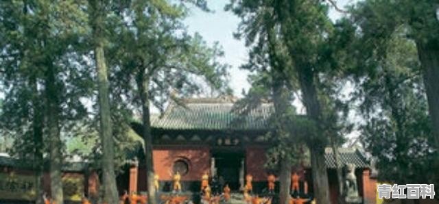 春节想去河南省旅游 租车方便吗？少林寺、龙门石窟都开门吗
