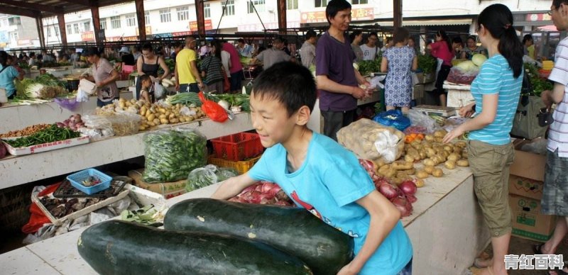 不会开车怎么卖菜